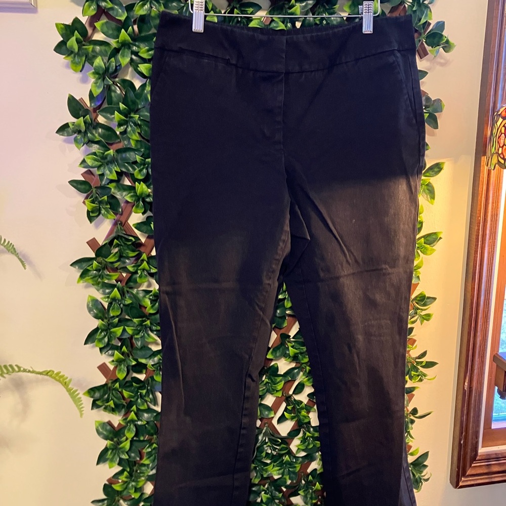 LOFT Black Straight Leg Women's Pants